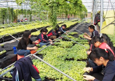 点此在新窗口浏览图片