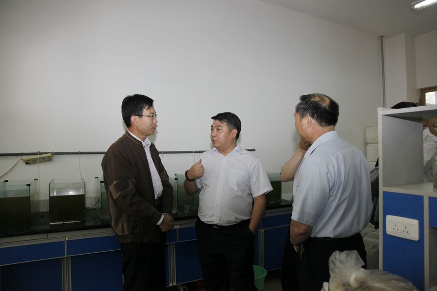 点此在新窗口浏览图片