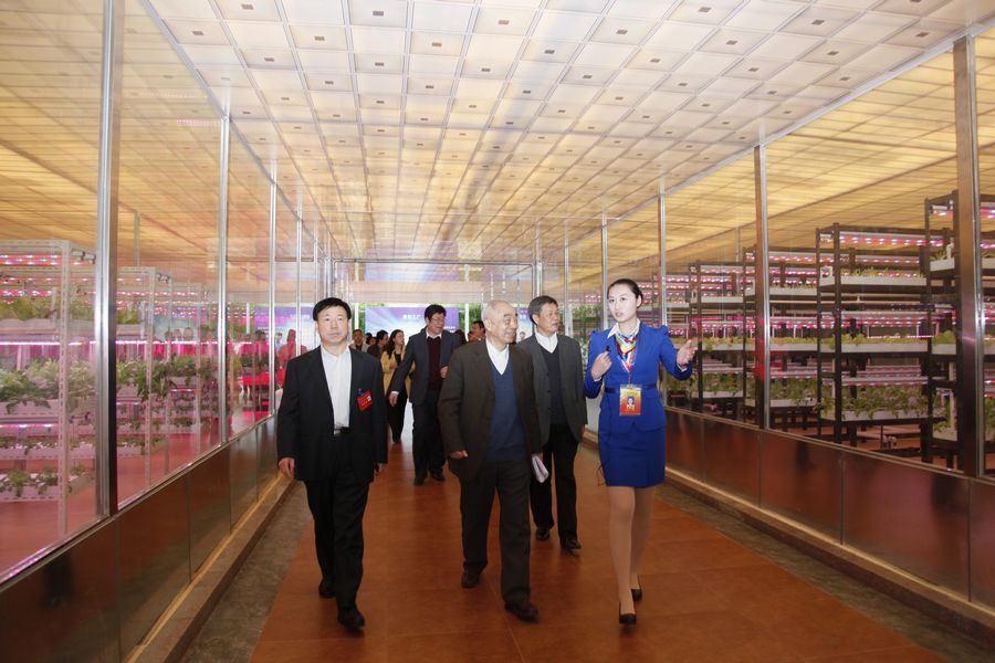 点此在新窗口浏览图片