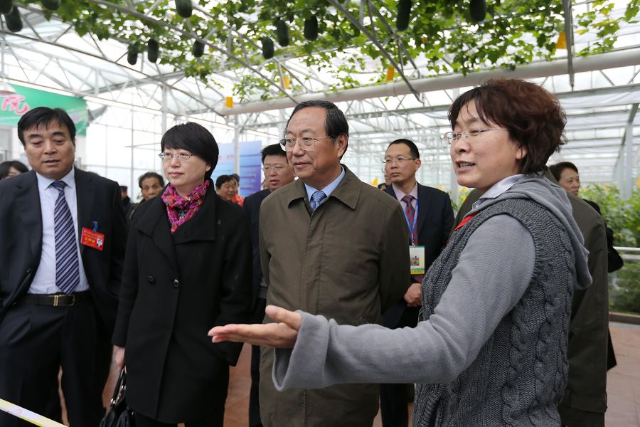 点此在新窗口浏览图片