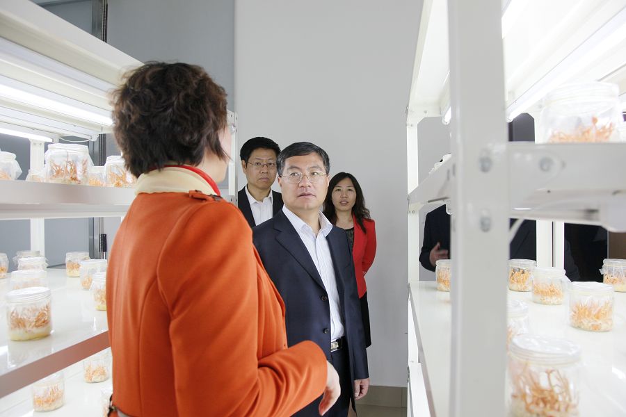 点此在新窗口浏览图片