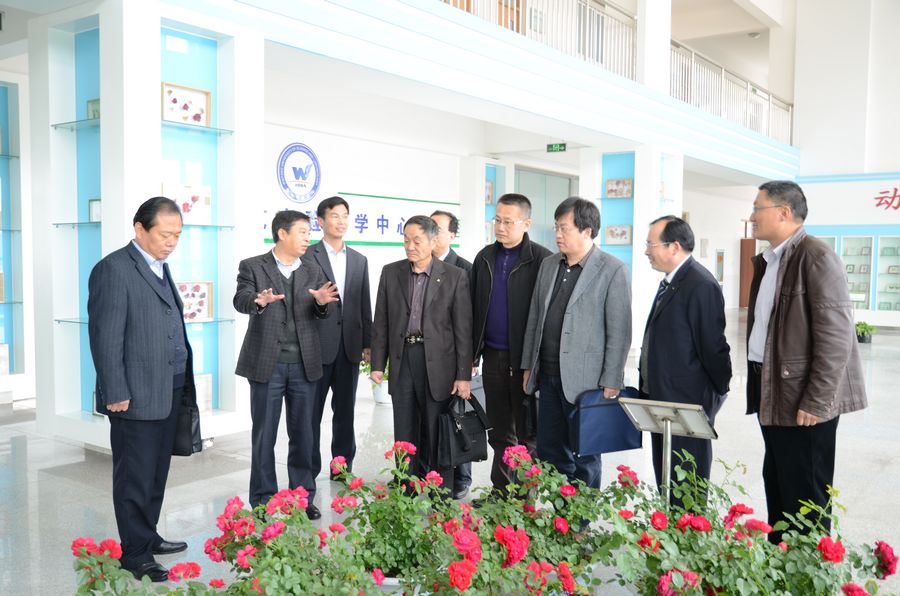 点此在新窗口浏览图片