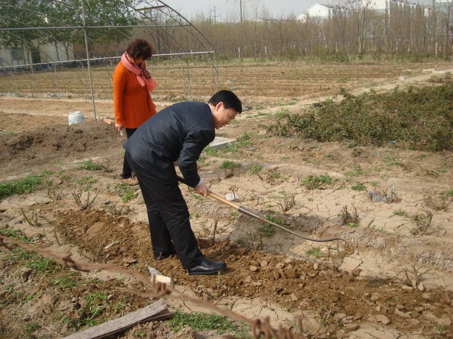 点此在新窗口浏览图片