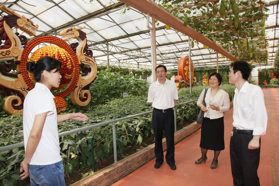 点此在新窗口浏览图片