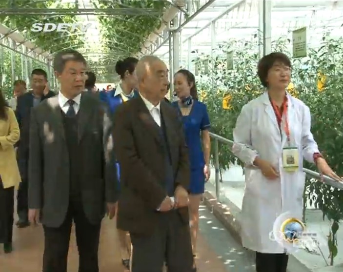 点此在新窗口浏览图片
