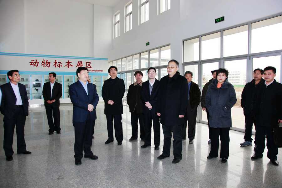 点此在新窗口浏览图片