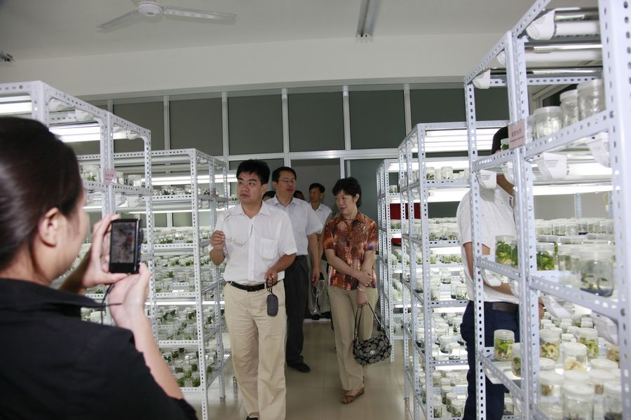 点此在新窗口浏览图片